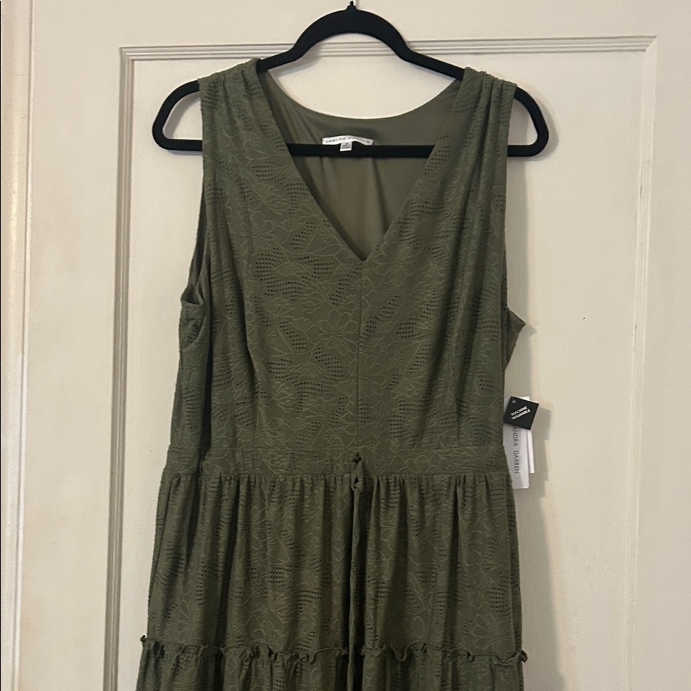 Sandra Darren Sage Green Lace Dress